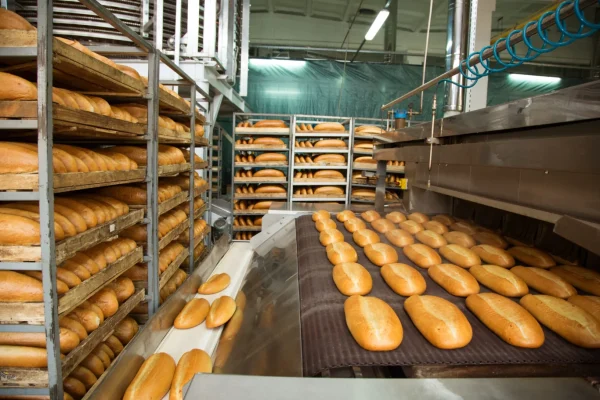 C6-2040CS 3D-Profiling sensor monitoring baking production process